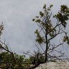 20150514_0071